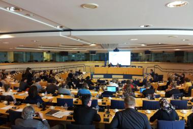 At the European Parliament in Brussels October 2, the Arts-Rights-Justice Working Group (ARJ)