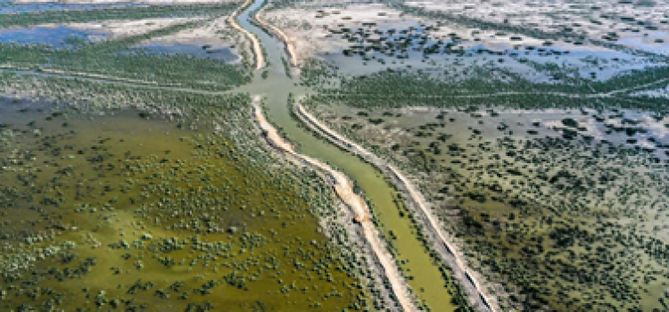 Photo: An aerial view of drying earth in the Chibayesh marshland in Iraq's southern Ahwar area on 20 June, 2021 (AFP)